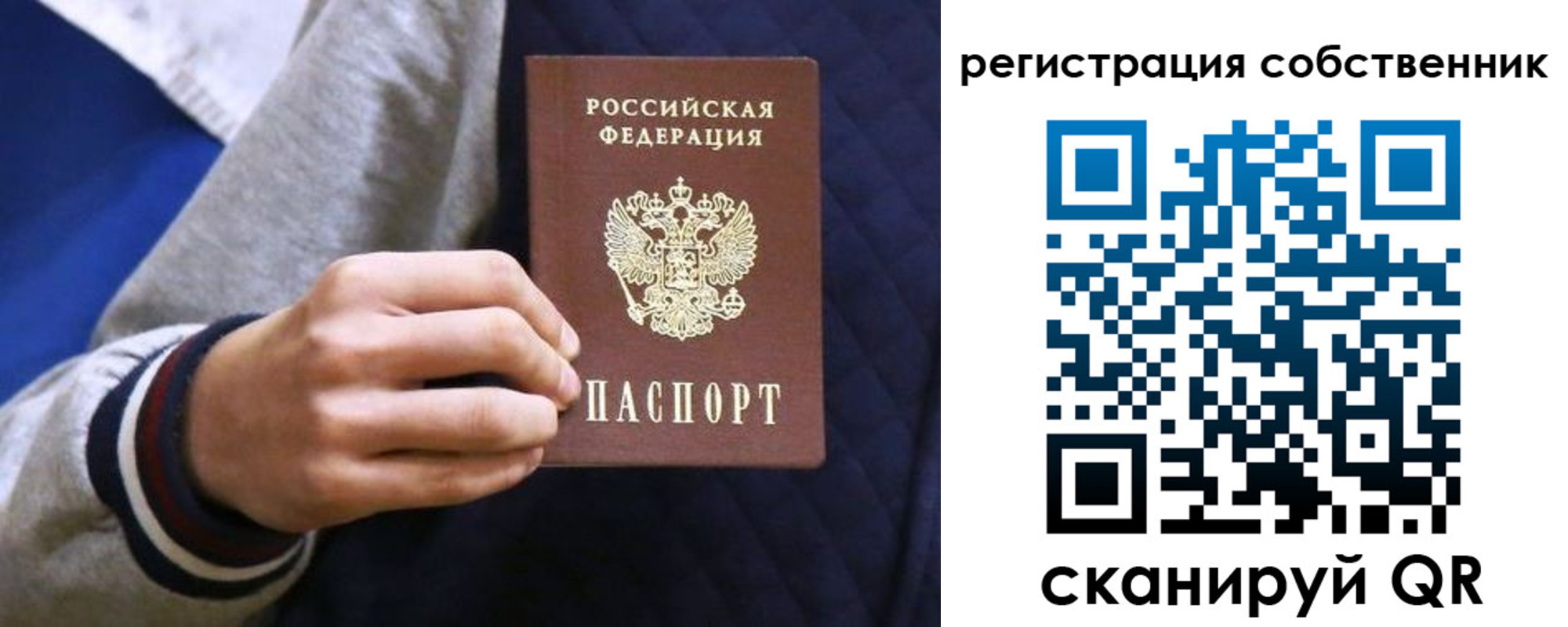 прописка поиск в Гае